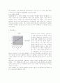 태평양 현지화전략 8페이지