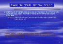 고유가시대의 에너지정책 방향 45페이지