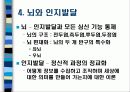 학습자의 이해 5페이지