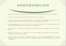 고령화 시대의 노인문제-보건기획 12페이지