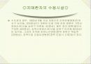 고령화 시대의 노인문제-보건기획 13페이지