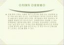 고령화 시대의 노인문제-보건기획 14페이지