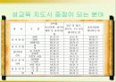 장애인 성교육의 문제점과 개선방안 13페이지