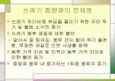 쓰레기종량제-생활쓰레기 11페이지