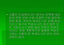 위성도시 10페이지