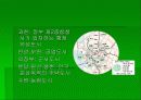 위성도시 12페이지