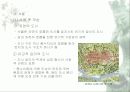 우리나라의 역사 문화도시 5페이지