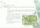 우리나라의 역사 문화도시 7페이지