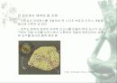 우리나라의 역사 문화도시 11페이지