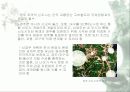 우리나라의 역사 문화도시 12페이지