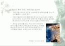 우리나라의 역사 문화도시 15페이지