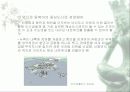 우리나라의 역사 문화도시 18페이지