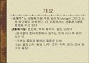 도시의 쓰레기-생활 쓰레기 3페이지