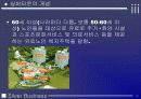실버타운-도시계획발표 10페이지