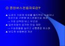 중앙버스전용차로 3페이지