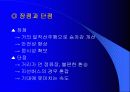 중앙버스전용차로 11페이지