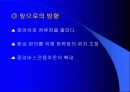 중앙버스전용차로 14페이지