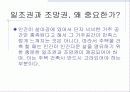 일조권과 조망권 3페이지