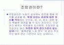 일조권과 조망권 10페이지
