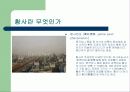 도시의 황사 문제 3페이지