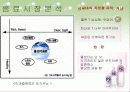 (마케팅 성공사례와 실패사례) 마케팅 성공 - 2%부족할때 , 마케팅 실패 - 니어워터O2 4페이지