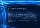 낙태의 정의와 현 실태, 또한 낙태가 영향을 끼치는 부정적 측면 24페이지