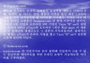 TOY R US의 인터넷 마케팅 실패 사례분석 12페이지
