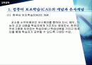 (CAI) 컴퓨터 보조학습에 대한 이해와 특징 방법등 모든 것 분석 4페이지