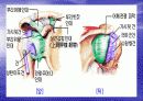 트레이닝 방법론 5페이지
