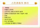 트레이닝 방법론 13페이지
