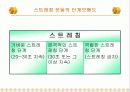 트레이닝 방법론 15페이지