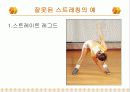 트레이닝 방법론 16페이지