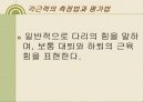 근 기능 평가와 강화를 위한 운동처방 10페이지