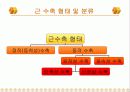 근 기능 평가와 강화를 위한 운동처방 16페이지