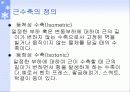 근 기능 평가와 강화를 위한 운동처방 17페이지