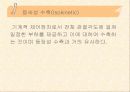 근 기능 평가와 강화를 위한 운동처방 19페이지