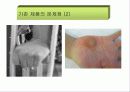 창업아이템 의료기기 사업계획서 (A+자료) 8페이지