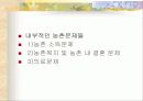 한국경제와 농업의 당면과제와 발전방향 3페이지