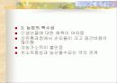 한국경제와 농업의 당면과제와 발전방향 9페이지