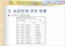 한국경제와 농업의 당면과제와 발전방향 11페이지