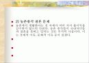 한국경제와 농업의 당면과제와 발전방향 17페이지