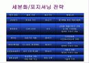 (기업 분석) 우리나라 기업의 중국시장 진출전략 분석 및 마케팅 전략 모음집 12페이지