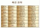 (기업 분석) 우리나라 기업의 중국시장 진출전략 분석 및 마케팅 전략 모음집 14페이지