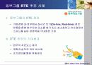 Real-Time Enterprise (RTE) 구축 사례 분석 12페이지
