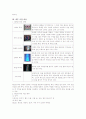 핸드폰튜닝 사업계획서 2페이지