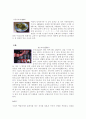 일본의 연중행사 (A+레포트) 5페이지