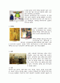 한국생활과 명품족 5페이지
