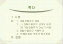 미켈란젤로 부오나로티(Michelangelo Buonarroti)에 대한 조사 2페이지
