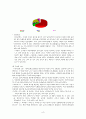 아이포드(아이팟)마케팅전략 분석 (A+레포트) 8페이지
