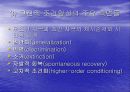 [교육학] 학습이론과 행동주의에 대한 이해와 장단점 분석 및 평가 9페이지